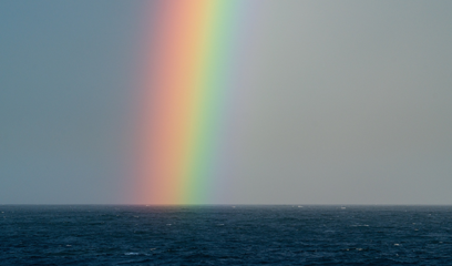 Vudoo’s 2020 vision